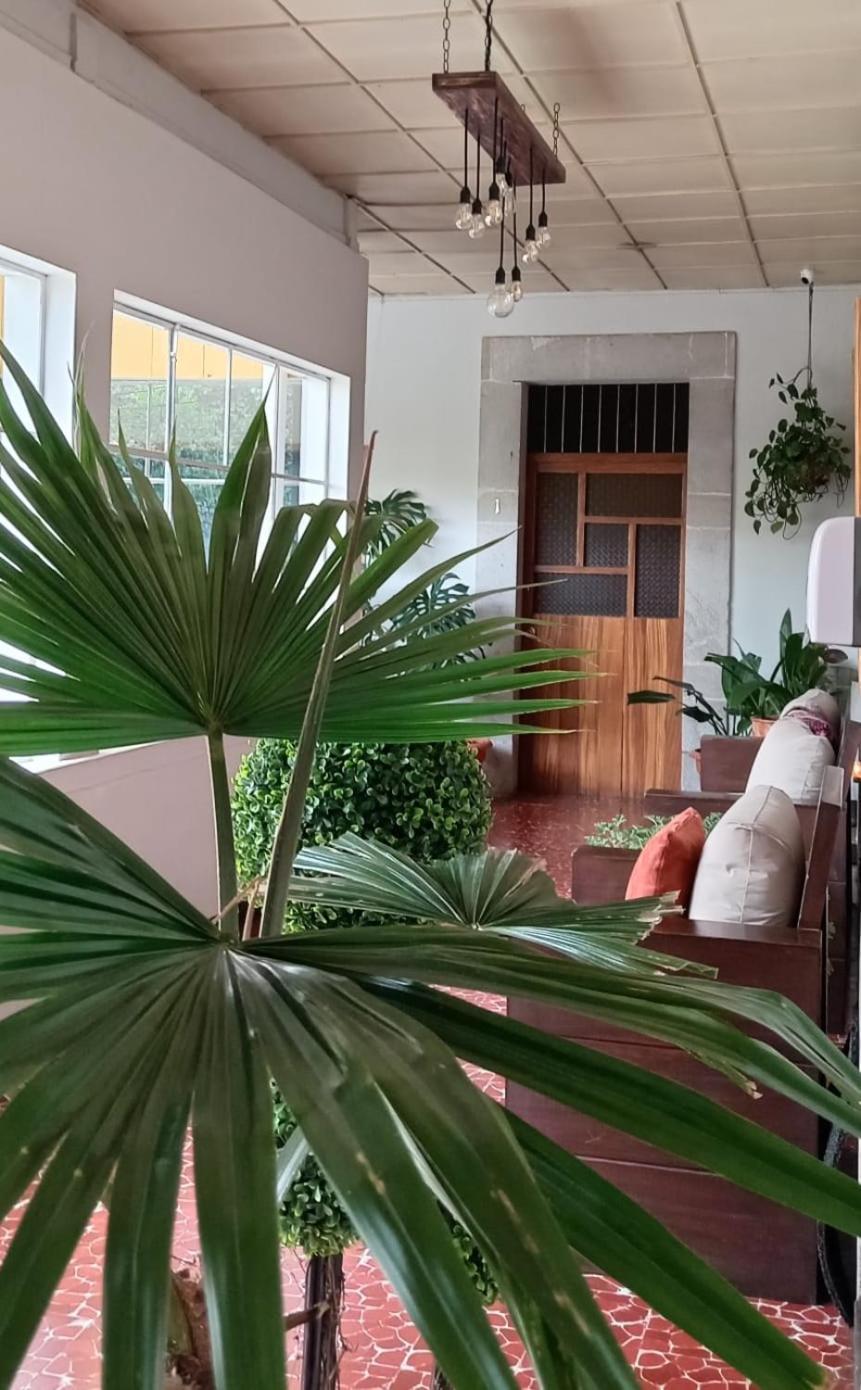 Hotel Mucha Quetzaltenango Exteriör bild